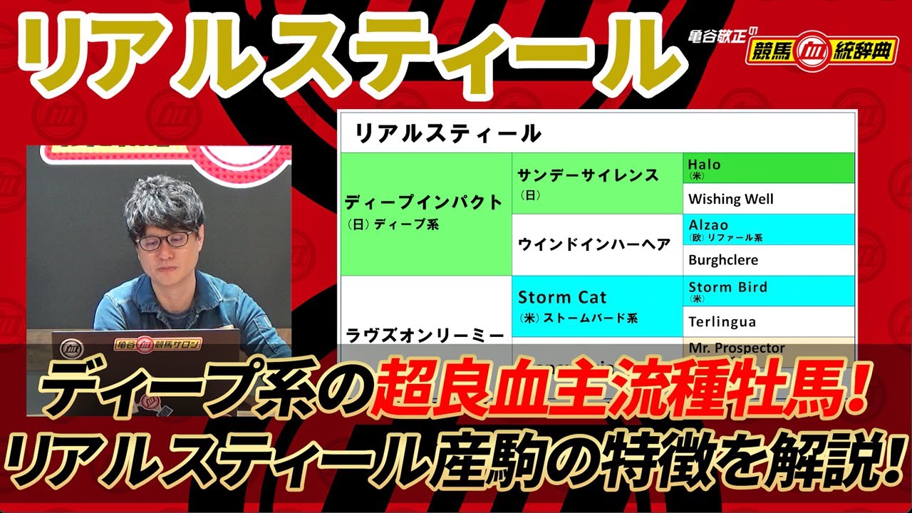 【リアルスティール】 ディープ系のなかでも超良血！ トップ種牡馬になれるポテンシャルあり！