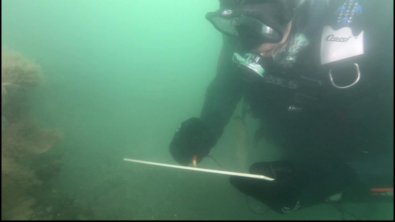 Archeologia subacquea, una strada romana nel mare di Grado