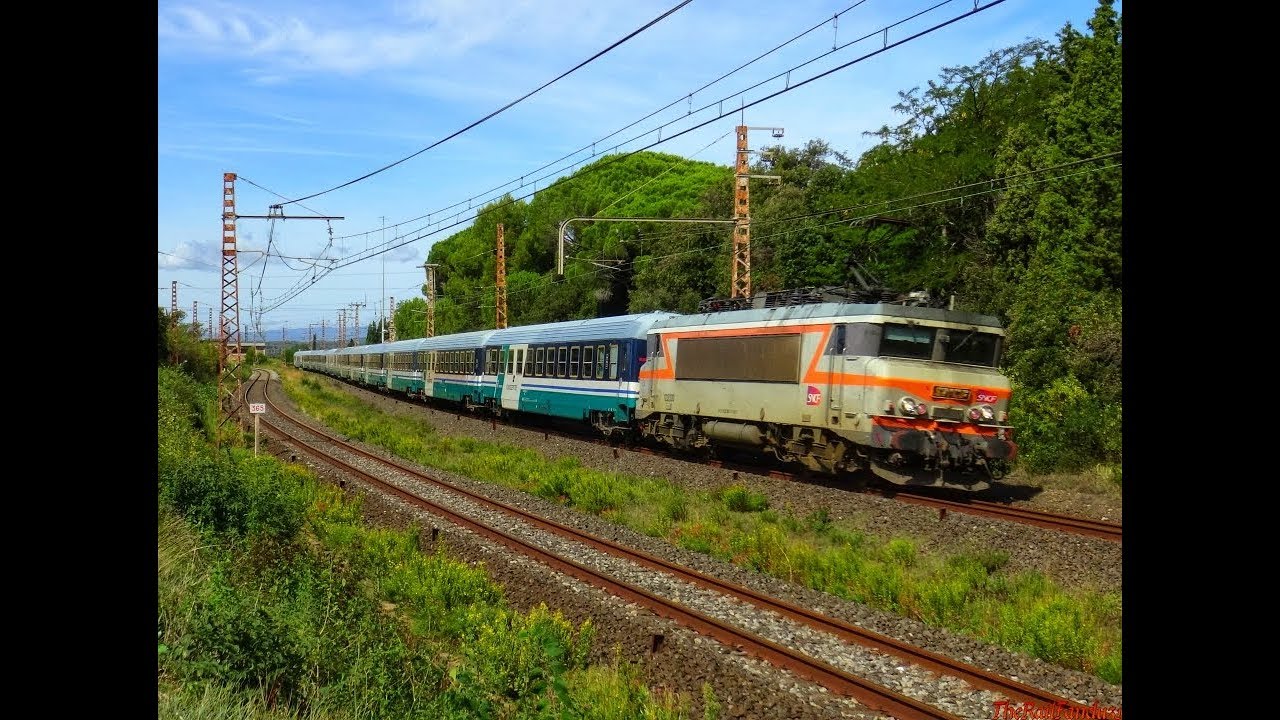 Trains dans les vignes des Corbières