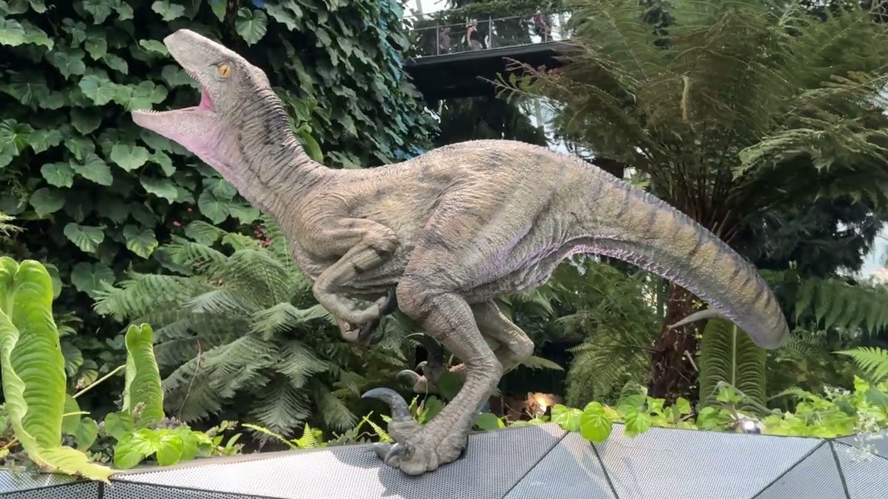 A Walk Through the Cloud Forest in the Gardens by the Bay in Singapore