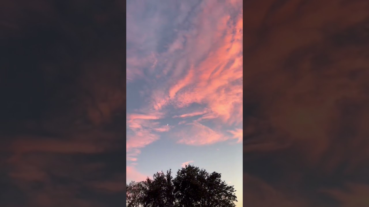 These clouds with sunset colors are so dreamy - Orangish pink sky -  #shorts #nature