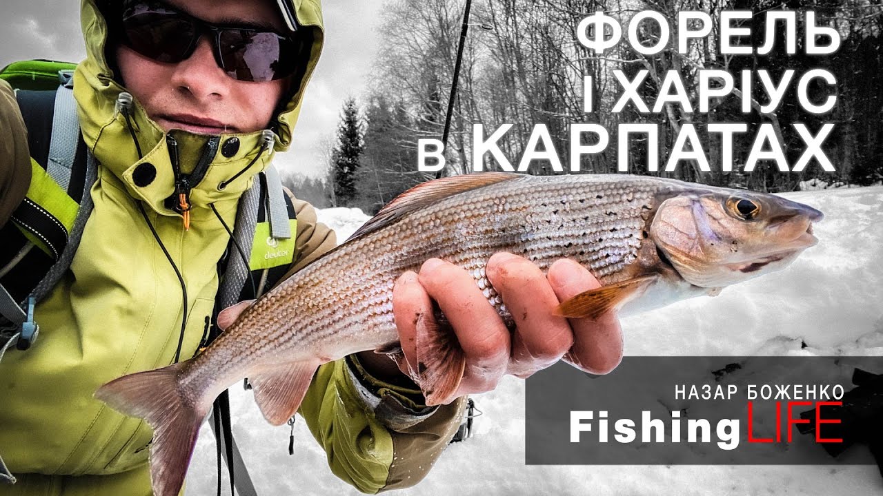 РИБАЛКА В КАРПАТАХ. ШАЛЕНИЙ КЛЬОВ на НОВИЙ РІК