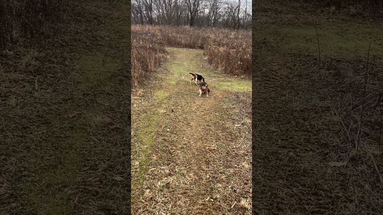 Cold frozen ground run Baby Nightmare and Dream 