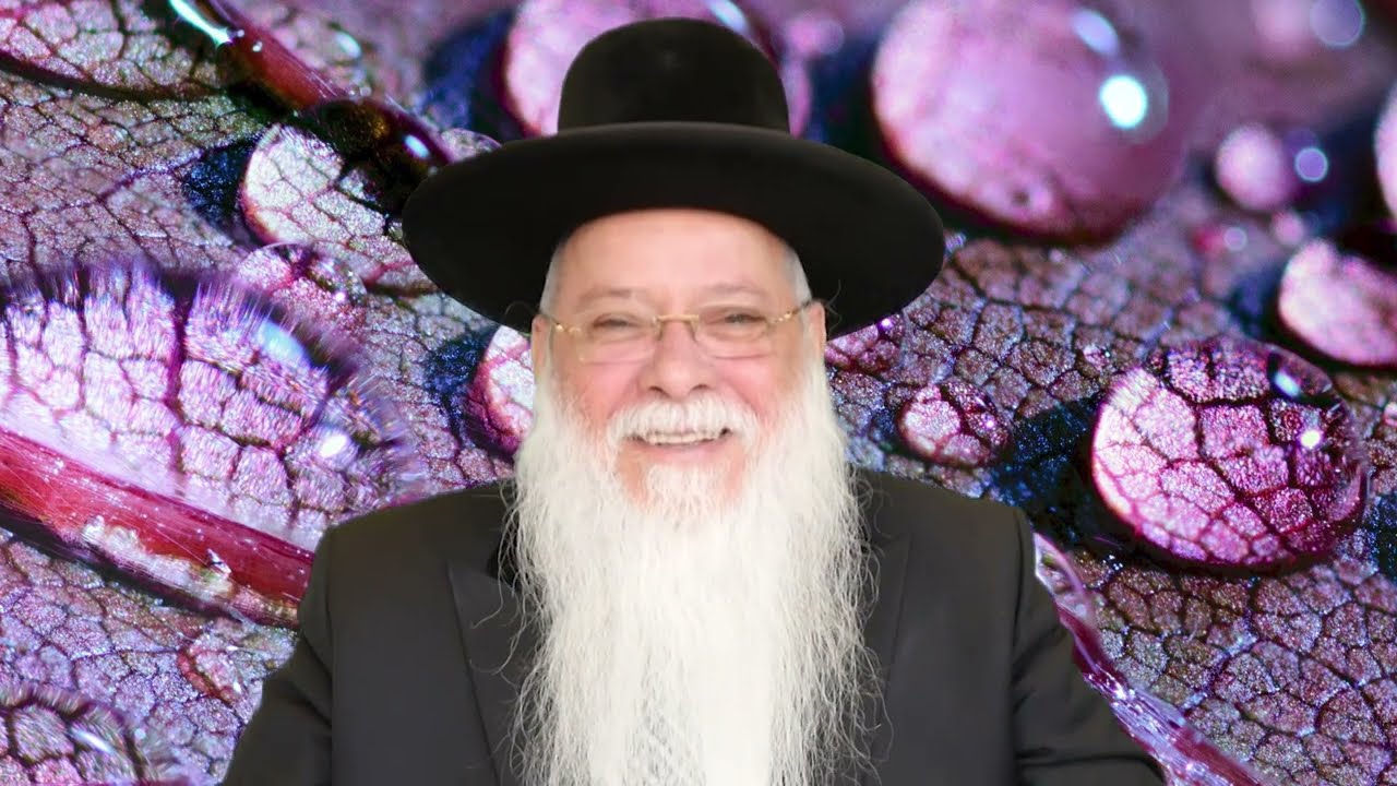 פרשת תזריע | איך להיות מושלם? | הרב מרדכי מלכא (רב העיר אלעד)