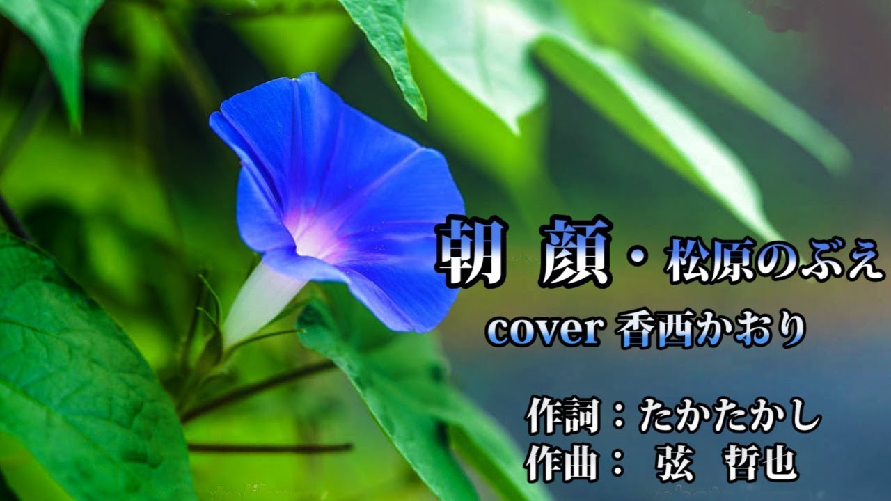 朝顔・松原のぶえ （cover 香西かおり）
