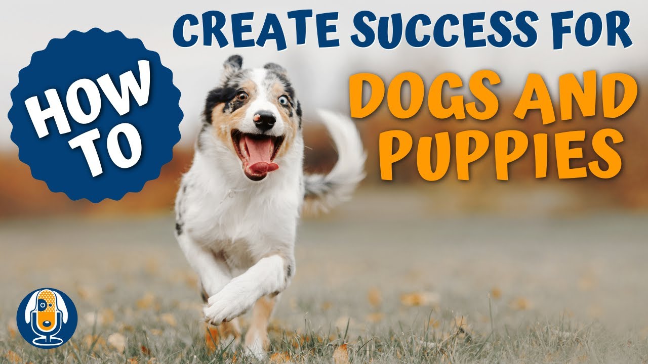 The Art of Manipulation #6