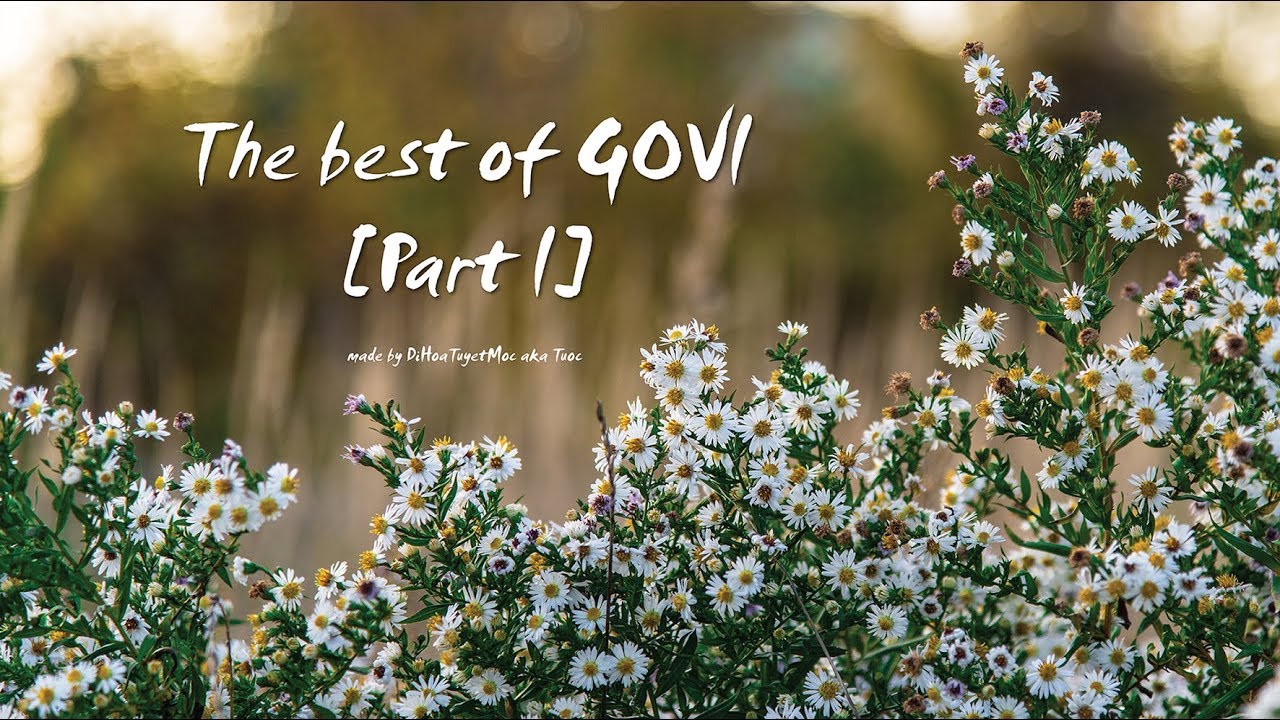 🌺 The best of GOVI【Part I】