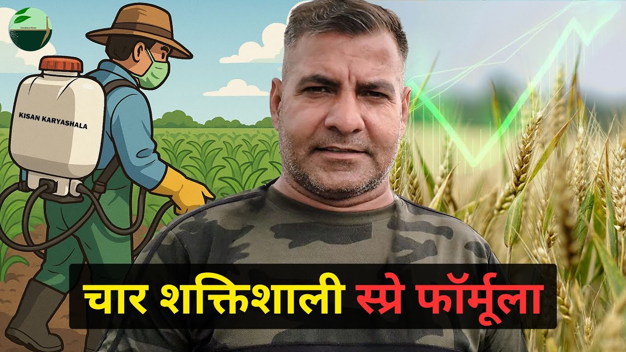 1469-Kisan karyashala: इल्ली का सम्पूर्ण समाधान | 4 सबसे अद्भुत स्प्रे | Rahul Jawan के साथ।
