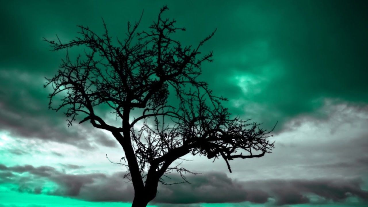 Worakls - Toi  (Original Mix)