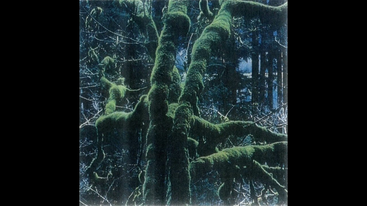 Docile Dawn - Plays Overgrown Forest II [Full CS] (2009)
