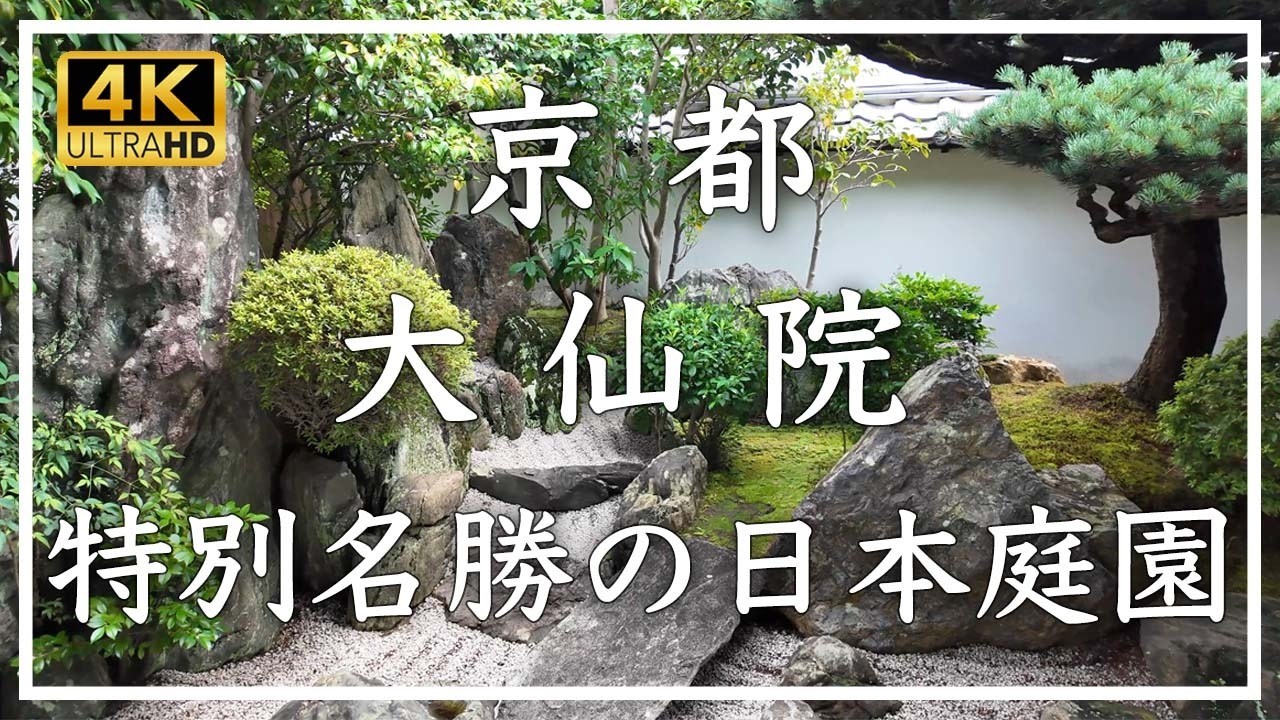 大徳寺塔頭 大仙院の日本庭園：特別名勝に指定されており、室町時代の作庭当時の姿を現代に伝えています。枯山水庭園のエッセンスが凝縮されたお庭です。 [No.612]