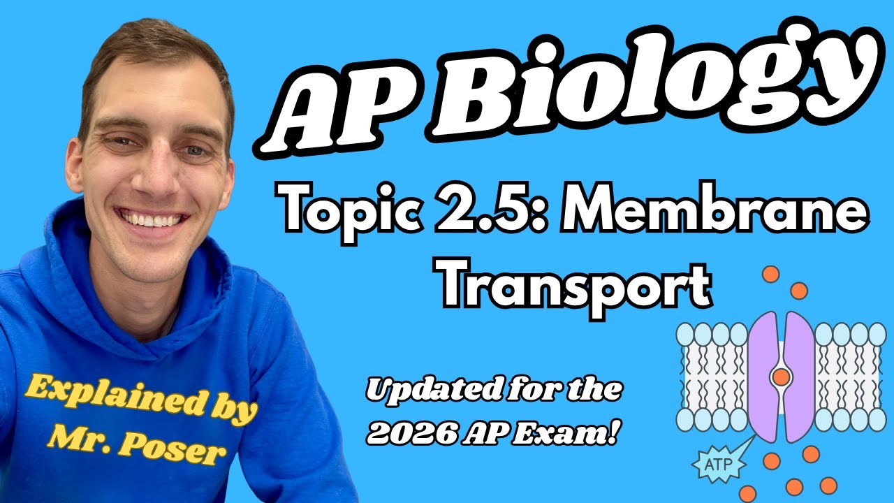 2.5 Membrane Transport - AP Biology (Updated 2025-2026)