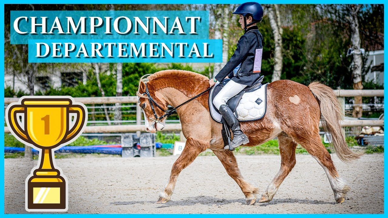 ACE S'ÉCHAPPE, EN LIBERTÉ SUR LE CROSS 😱 - Premiers dès le dressage