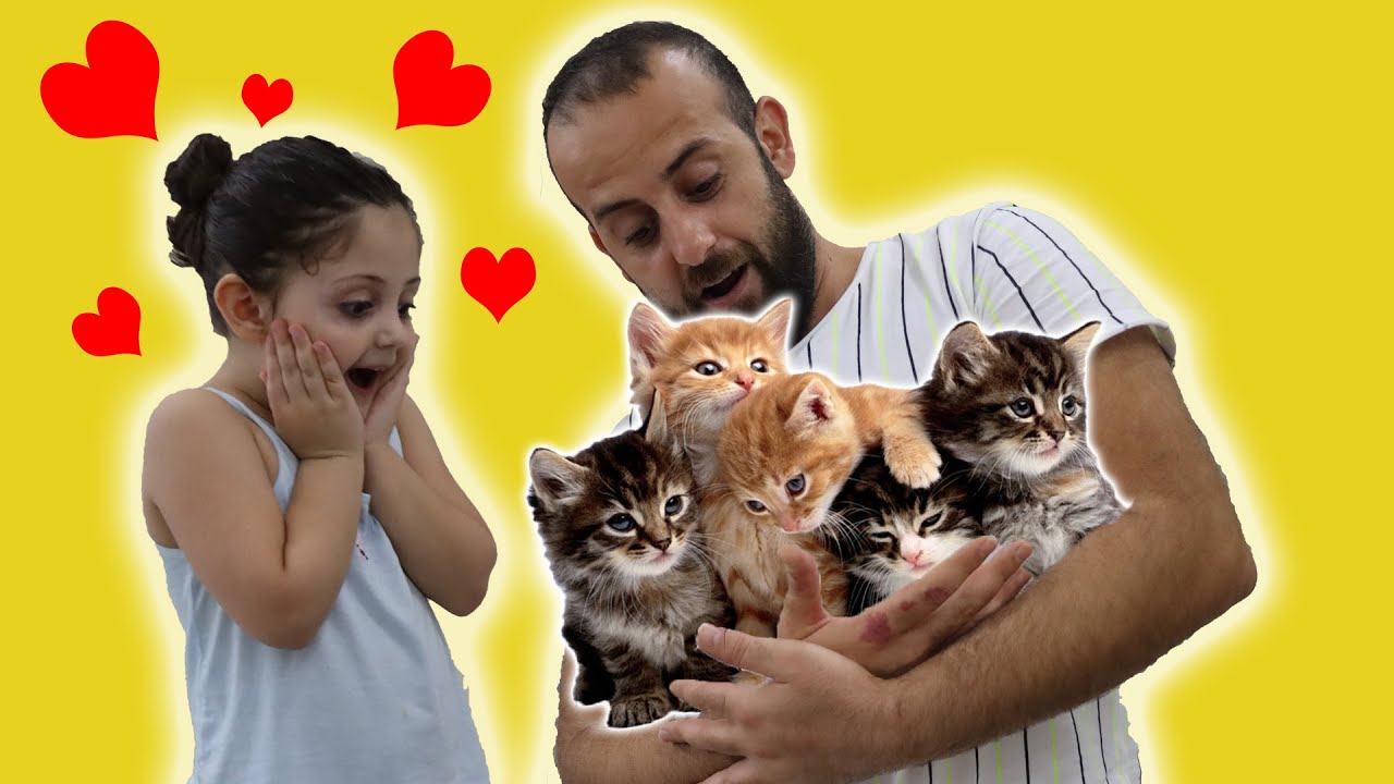 Afife'nin Babası Eve Gizlice Kediler Getirdi! والد عفيف يجلب القطط إلى المنزل!