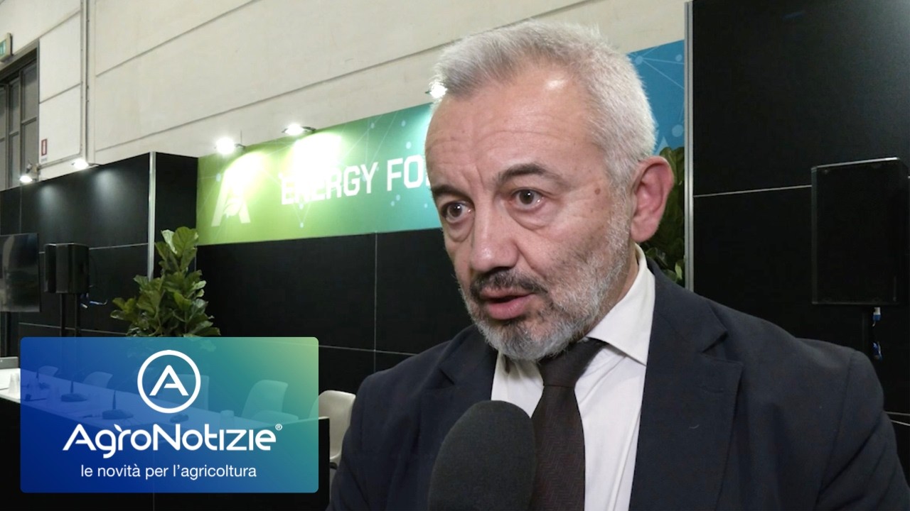 Cosa sapere prima di investire in un impianto agrivoltaico