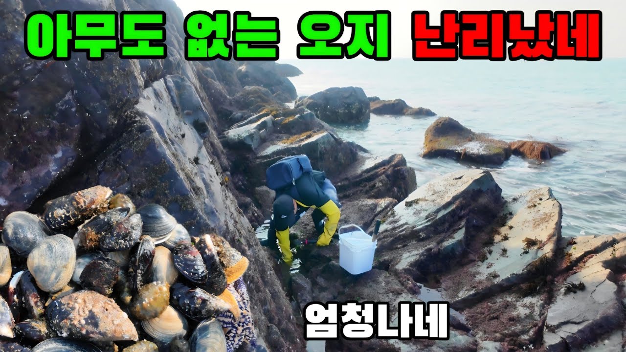 모두 떠난간 해변에 가보니 하루에 큰 돈 벌었습니다
