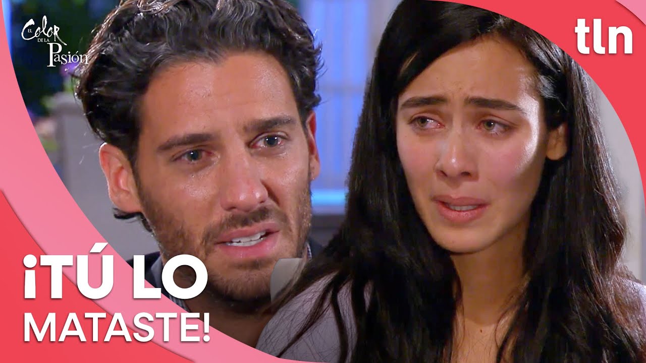Luc&iacute;a culpa a Marcelo de la muerte de Alonso | El color de la pasi&oacute;n | Resumen Cap&iacute;tulo 80 | tln