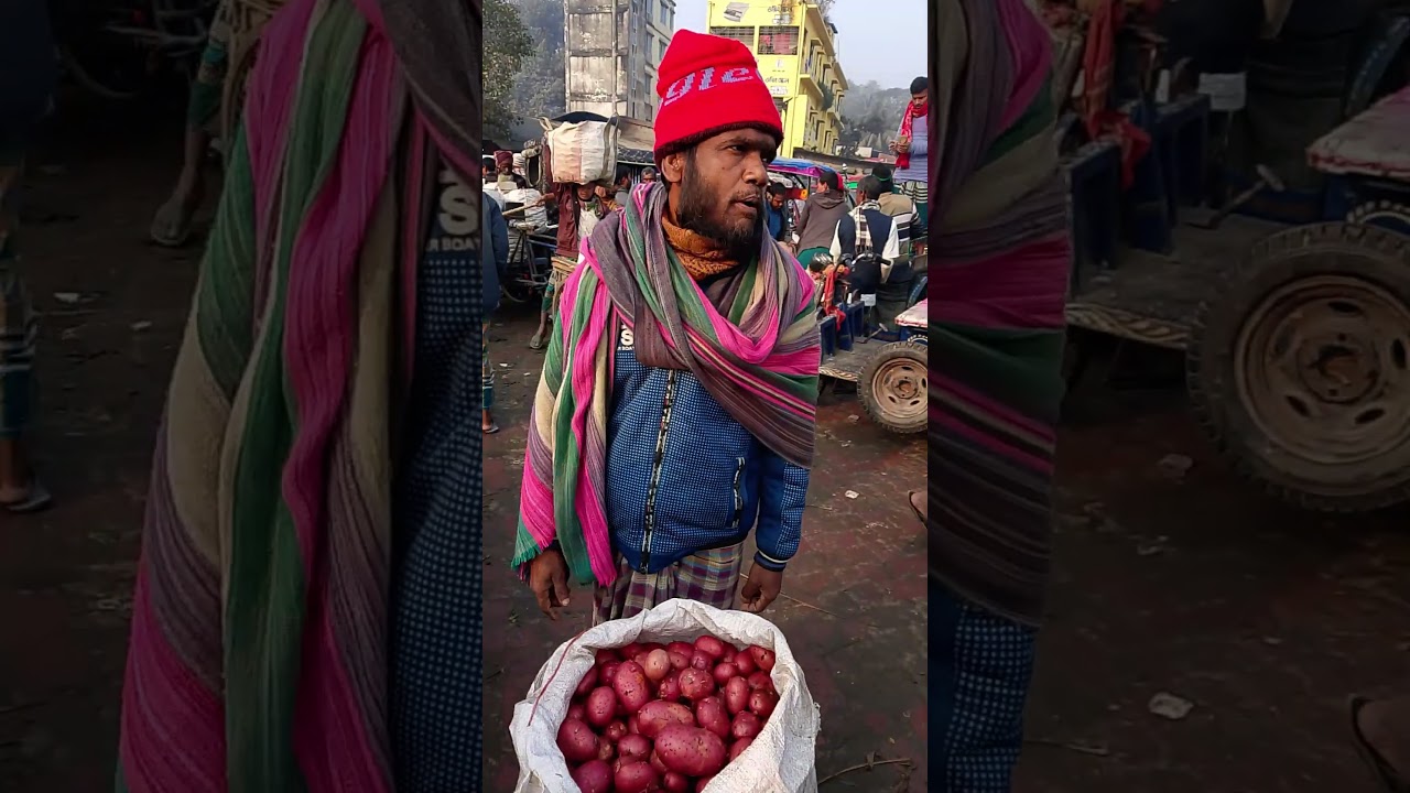 বগুড়ার আলুর বাজার দর |আলুর দাম নিয়ে সংখ্যায় আছে কৃষক #আলুরদাম২০২৬ #আলুর_বাজার২০২৬ #dubai #আলুরপ্তানি