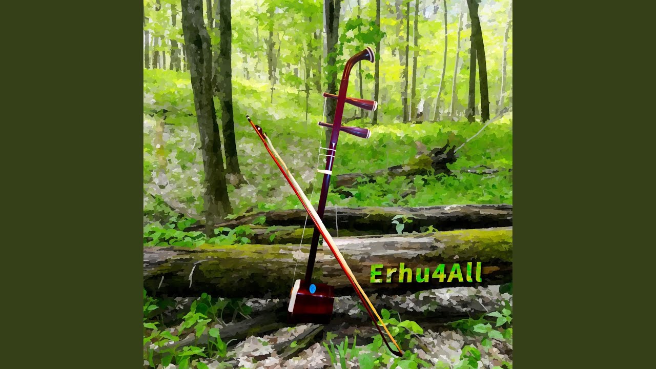 Taichi Warrior of Erhu