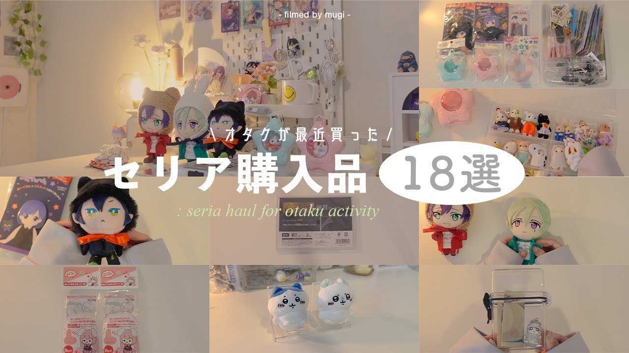 【新作必見】おすすめのセリアオタ活購入品18選 📚🦔┊マイコレぬいぐるみ用スタンド,高透明硬質ケース,スケルトンケース,ハロウィンぬい服,収納,ディスプレイ,ぬい活用 etc. (ENG