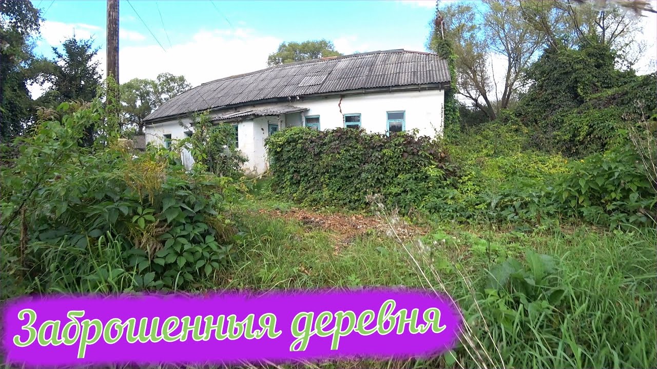 Деревня Снежедь 1 /  Заброшенные деревни Тульской области.