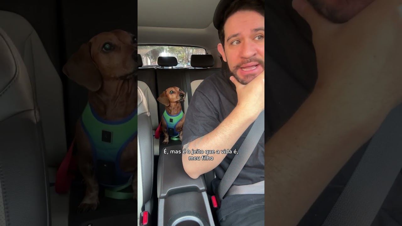 dia de volta &agrave;s aulas na creche do Benedito #vlog #dog #crechecanina