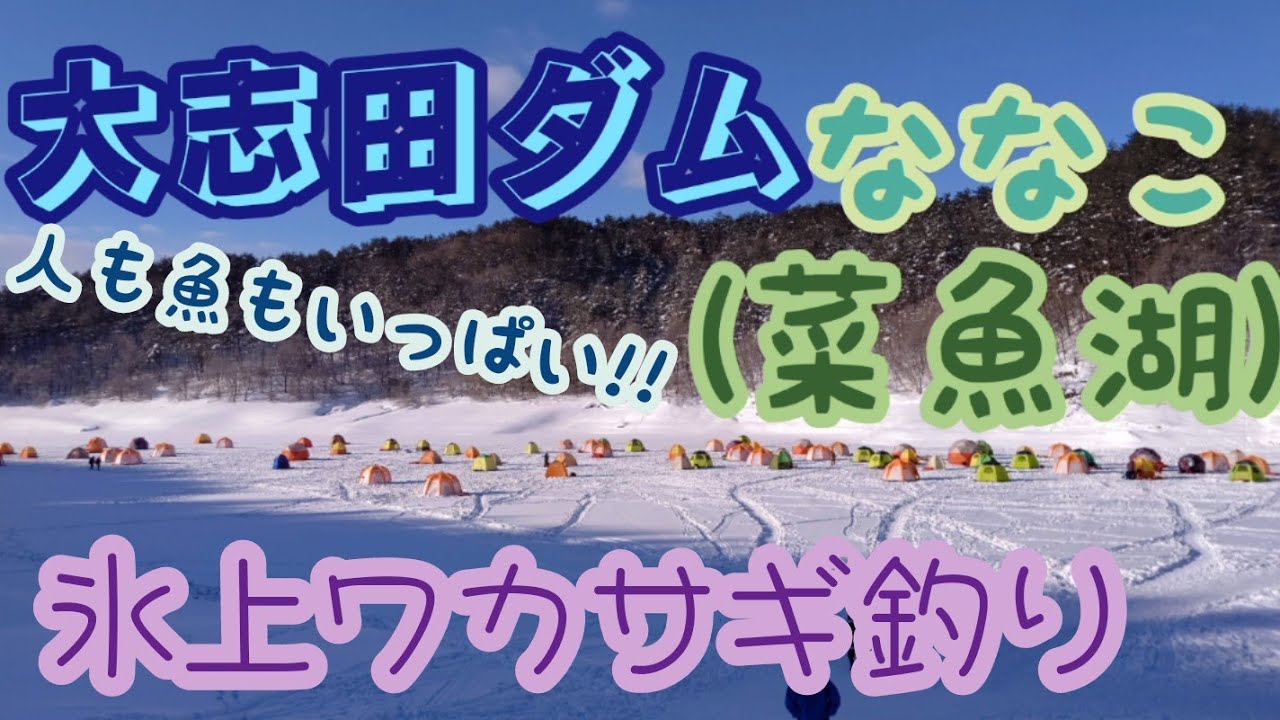 氷上ワカサギ釣り 大志田ダム 菜魚湖