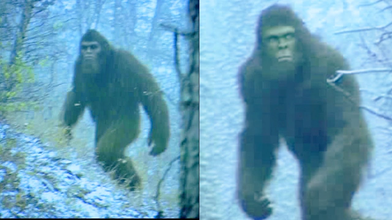 Trail Camera Records Bigfoot in Alaskan Wilderness. Is This the Clearest Footage Yet?
