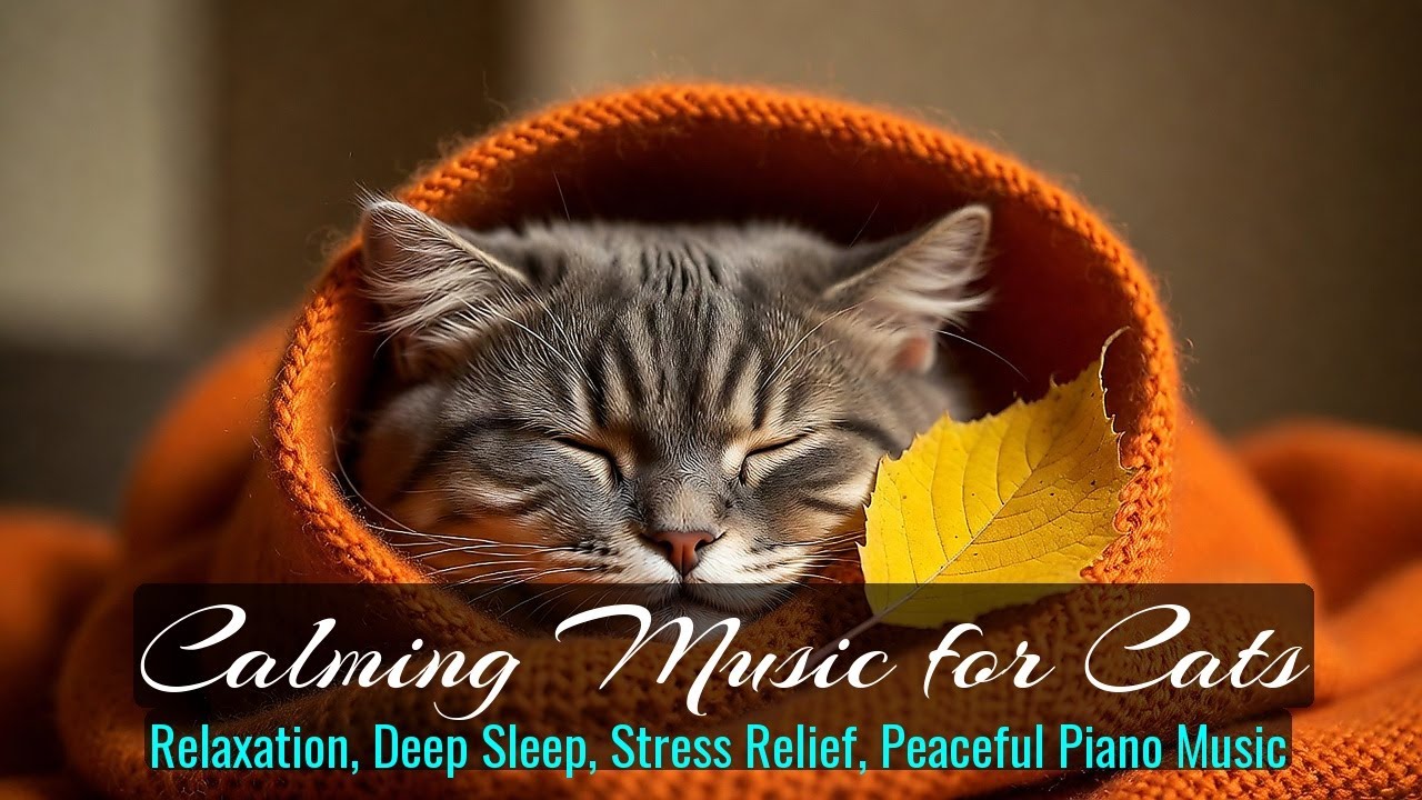 Calming Music for Cats - Relaxation, Deep Sleep, Stress Relief, Peaceful Piano Music | Season 40