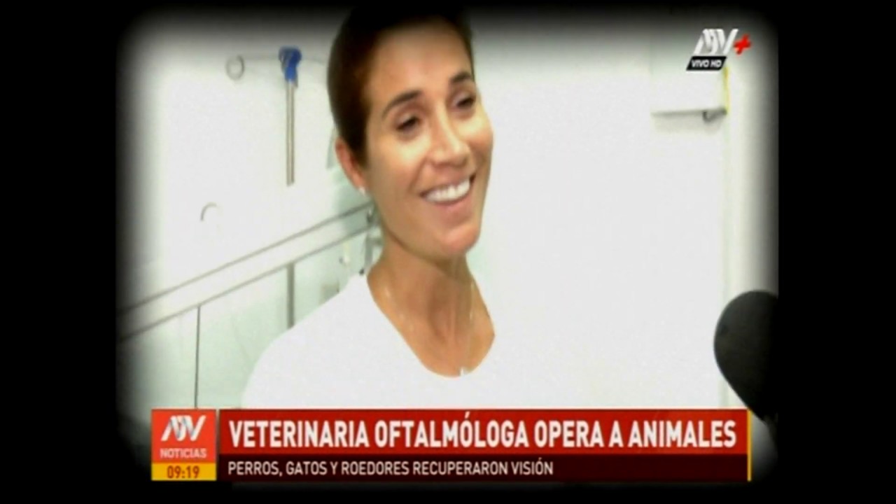 Michelle Freundt - Veterinaria oftalmológica opera a animales que recuperan la visión