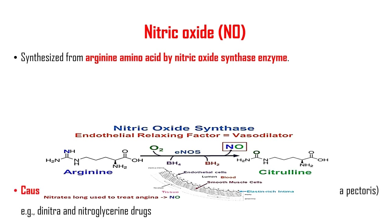 Synthesis, Degradation & Biomolecules Derived from Amino Acids III