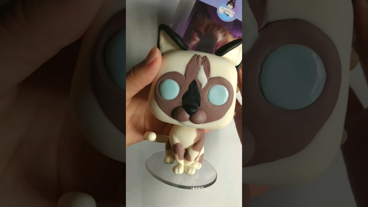 Embalagem de Funko Pet Pop #funkopop #funkopet #pets #petopop  #viral #embalagempersonalizada