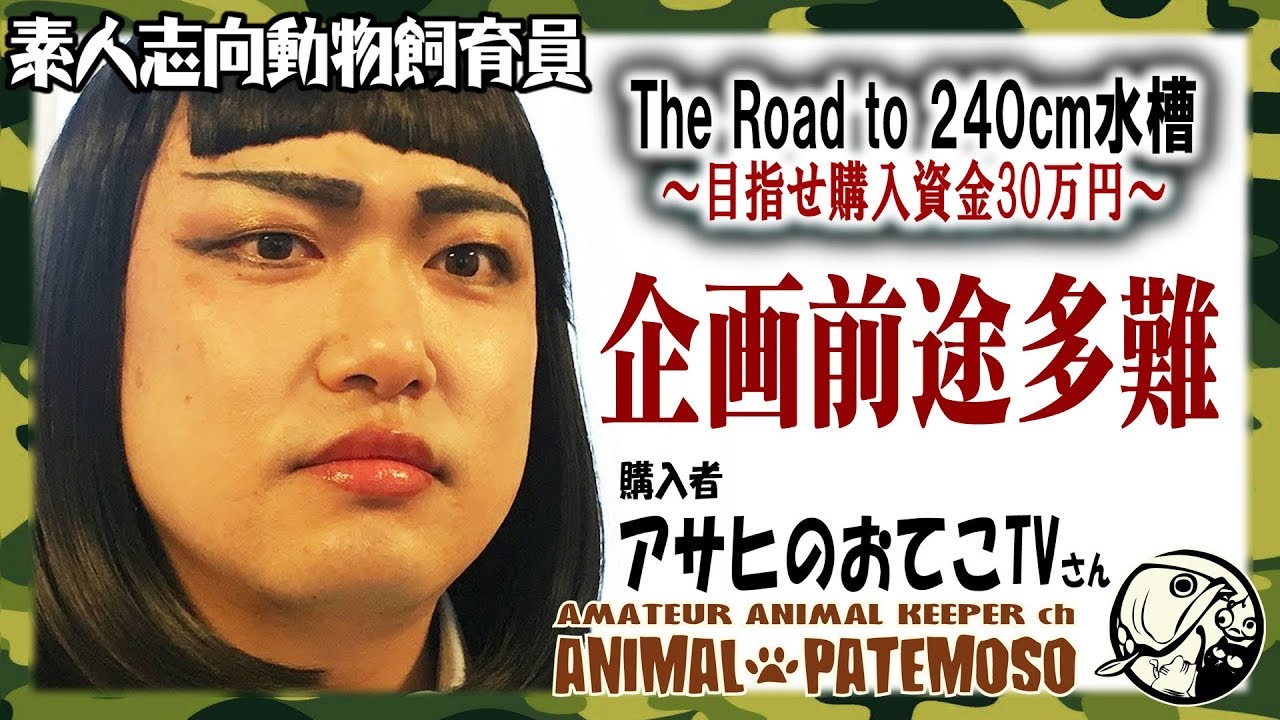 ＃03 アサヒのおてこＴＶさんからの売上げ500円が入ったが前途多難･･･【The Road to 240cm水槽～目指せ購入資金30万円!～】【アクアリウム】【熱帯魚】