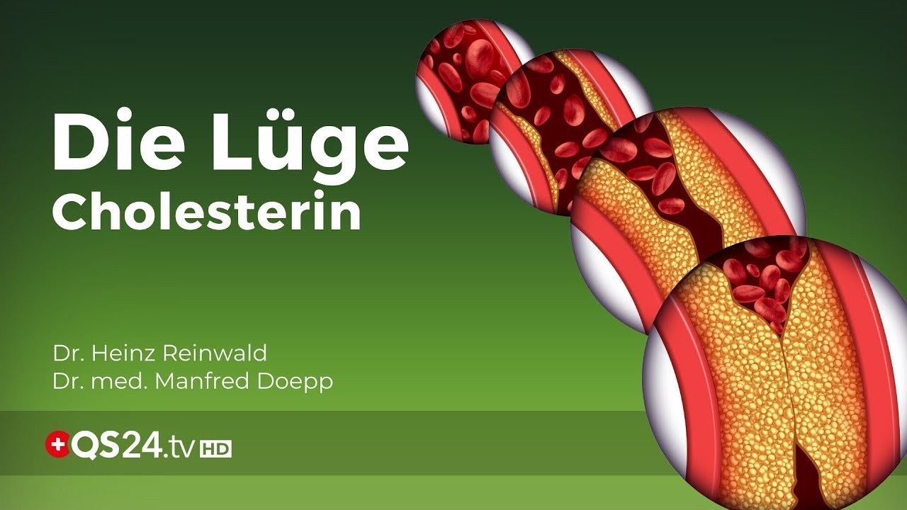 Die Cholesterin-Lügen & wahren Ursachen des erhöhten Cholesterin | QS24 Gesundheitsfernsehen