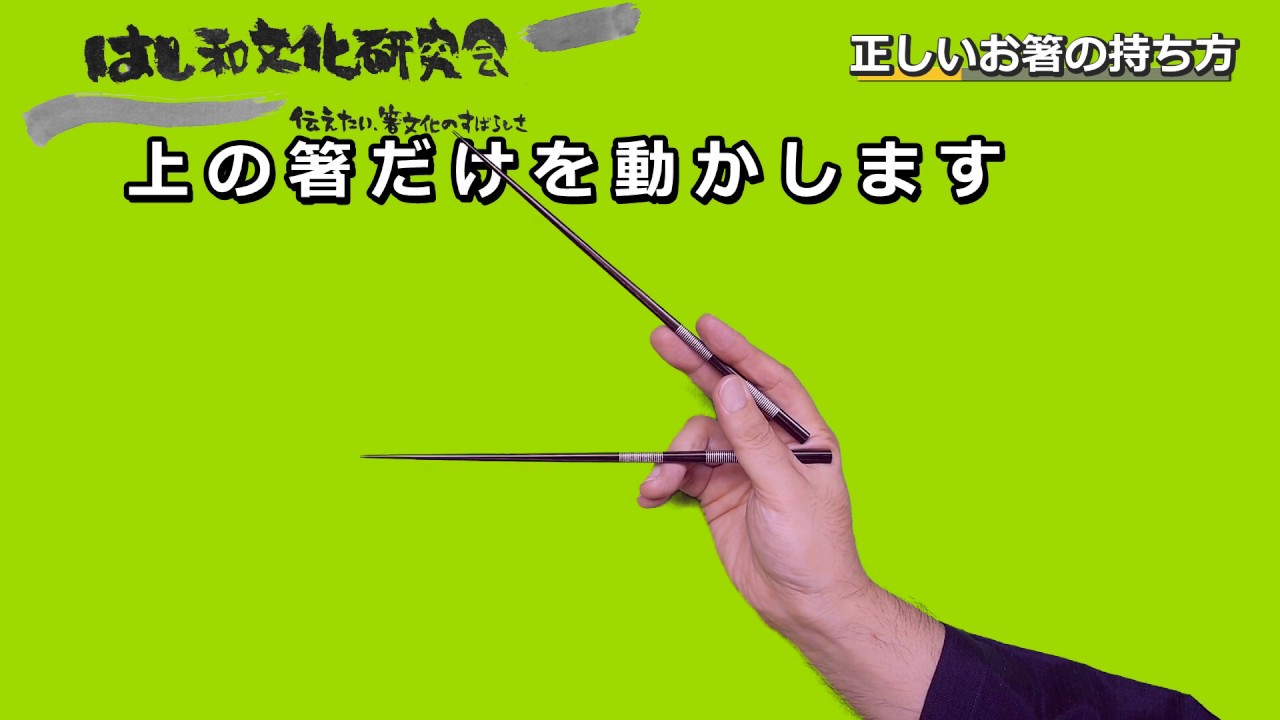 お箸の正しい持ち方と基本動作 - はし和文化研究会
