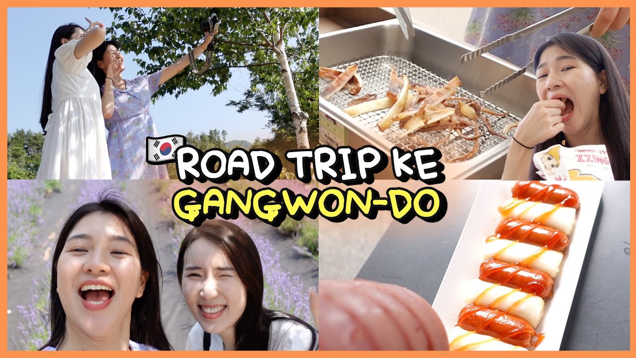TRAVEL VLOG : NYEMIL DI REST AREA KOREA, LIAT BUNGA LAVENDER. KEPANASAN TAPI HEPI! | AMELICANO