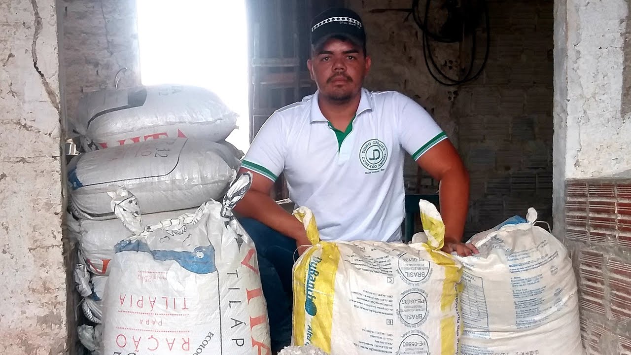 Ração para Porcos Barata Formulação com Mandioca 🤔🐷🐖🍠🍠