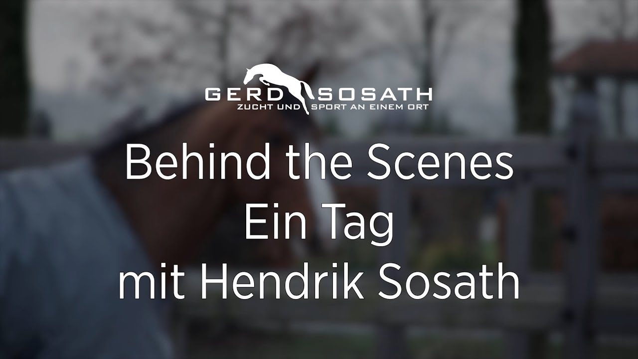 Ein Tag mit Hendrik Sosath | Sosath Hengstschau 2023