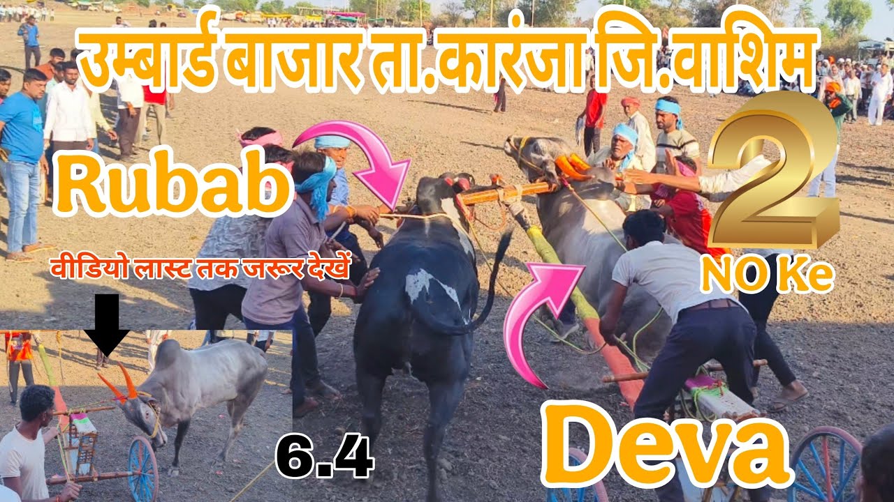 Deva & Rubab | 2.NO Ke Mankari | उमाबर्ड बाजार ता. कारंजा जि.वाशिम | Shankar Pat | 6.4 #shankarpat 