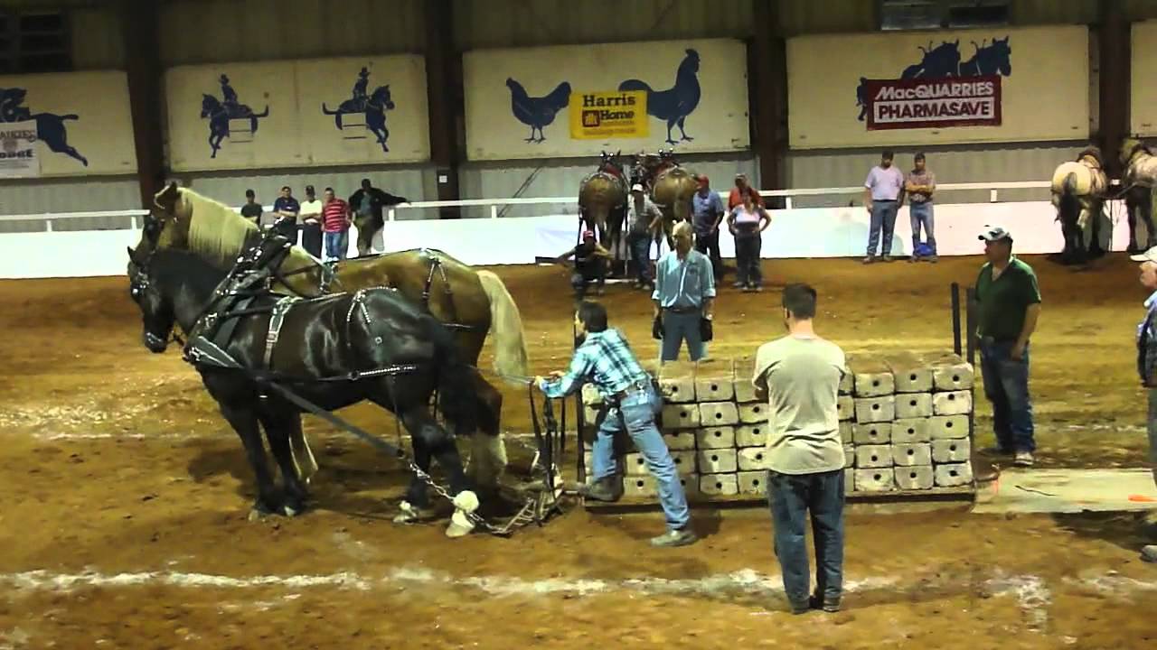 2012 Nova Scotia provincial Exhibition Horsepull