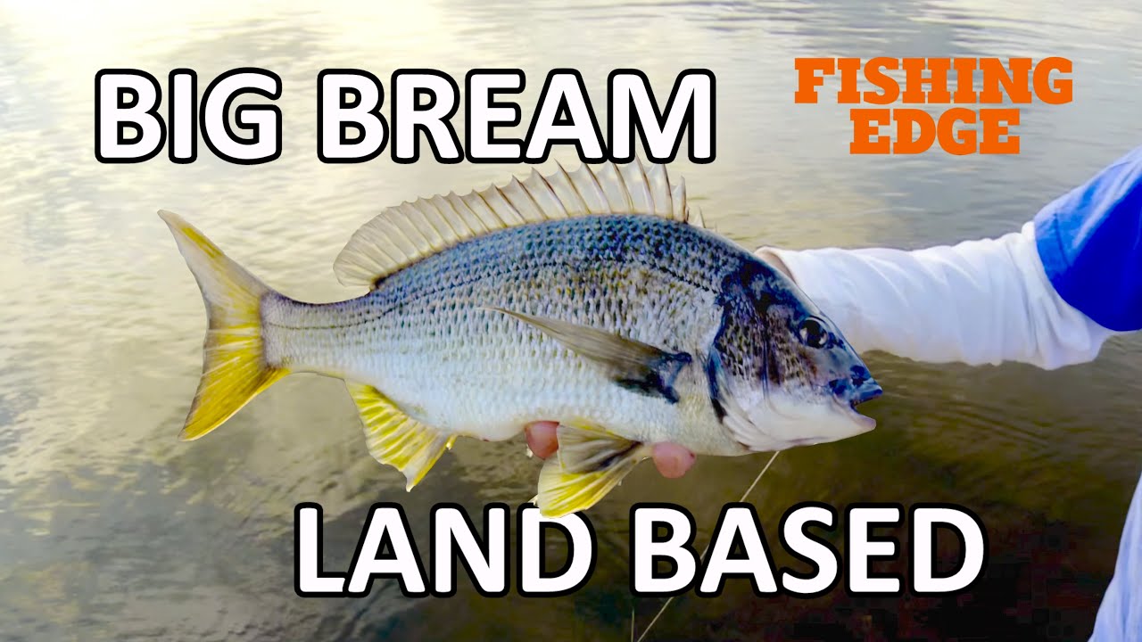 Эпизод Fishing Edge — Большой лещ на суше