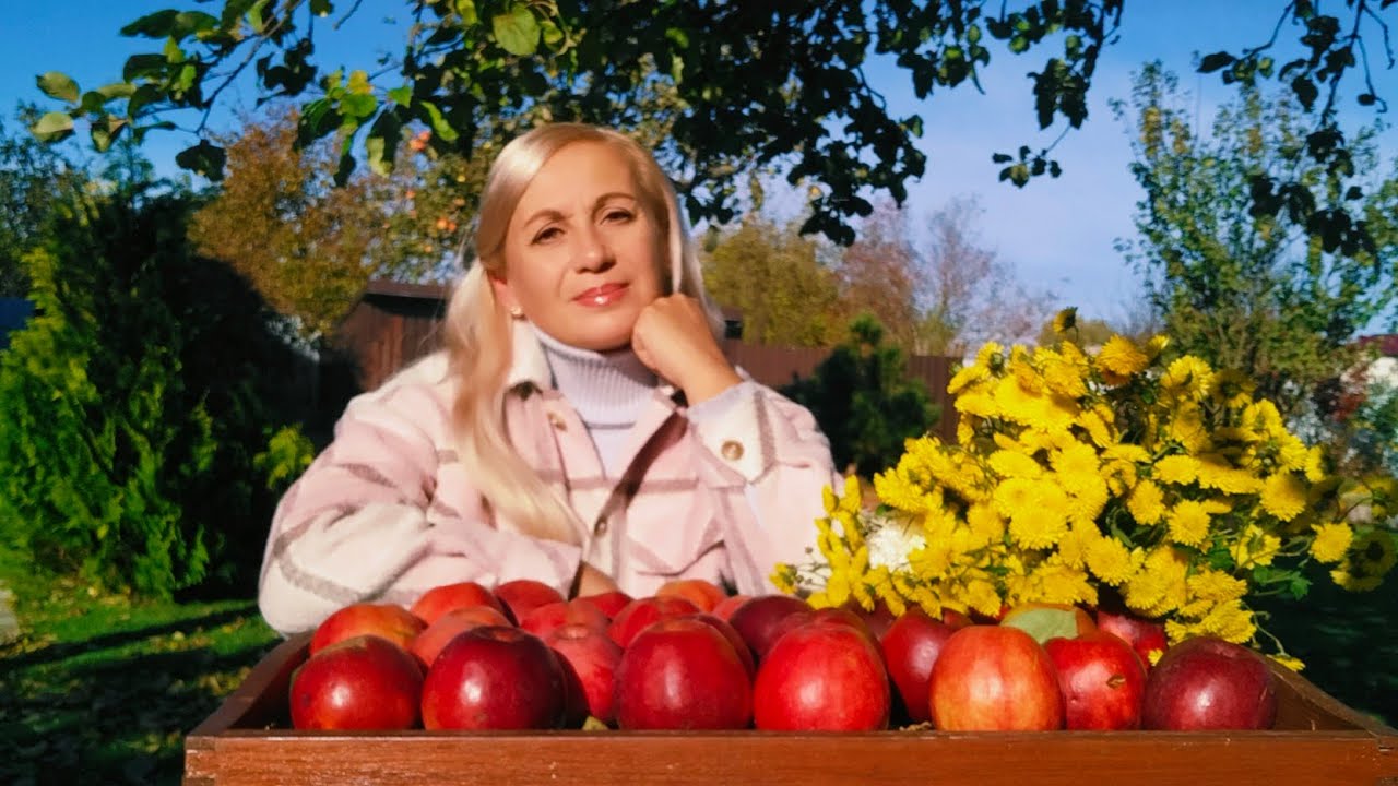 Включи, если любишь осень и котов 🍂 Уютный день