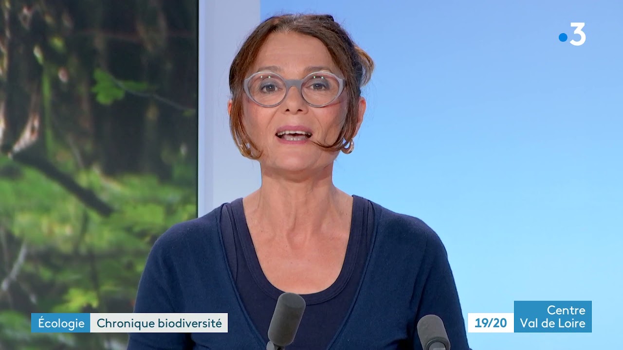 Reportage France 3 Gîtes à chauves-souris intégrés dans la rénovation des façades sept 2021
