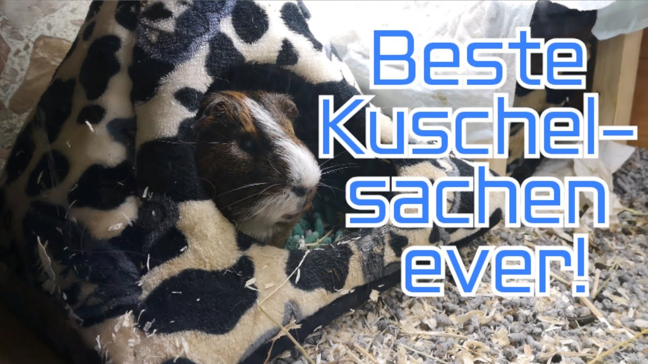 Neue Kuschelsachen für die Meerschweinchen (MegicalPetworld)