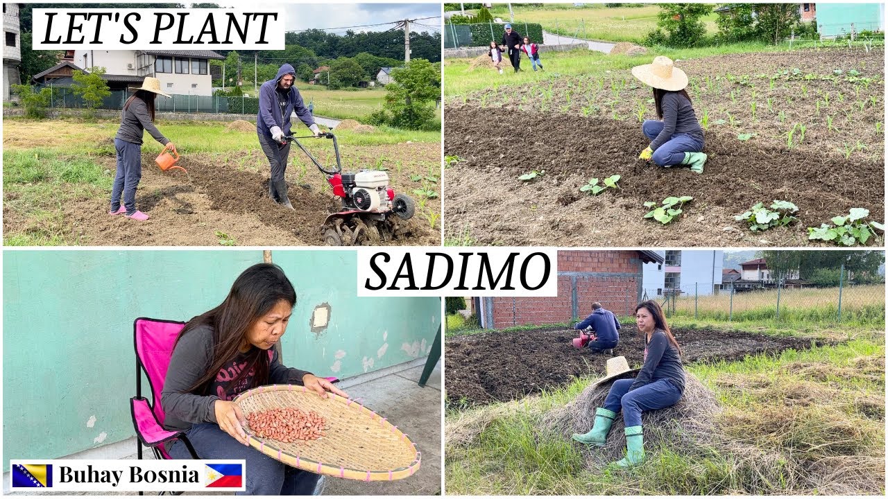 Šta sam posadila u svojoj novoj bašti | What I planted at my new garden