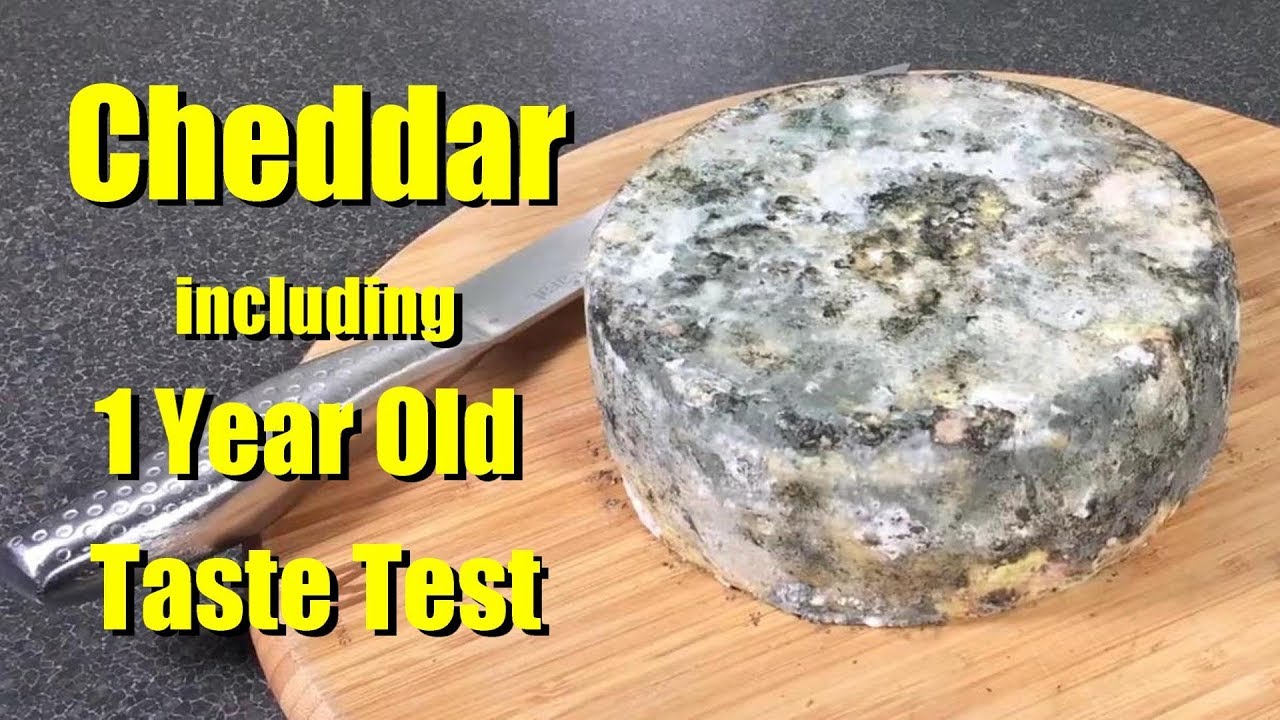 How to make Cheddar Cheese with all Updates and Taste Tests