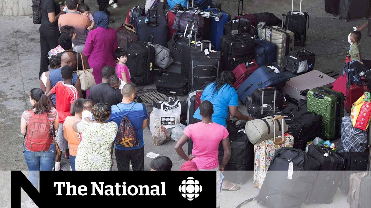 Irregular asylum seekers use loophole to help with regular crossings
