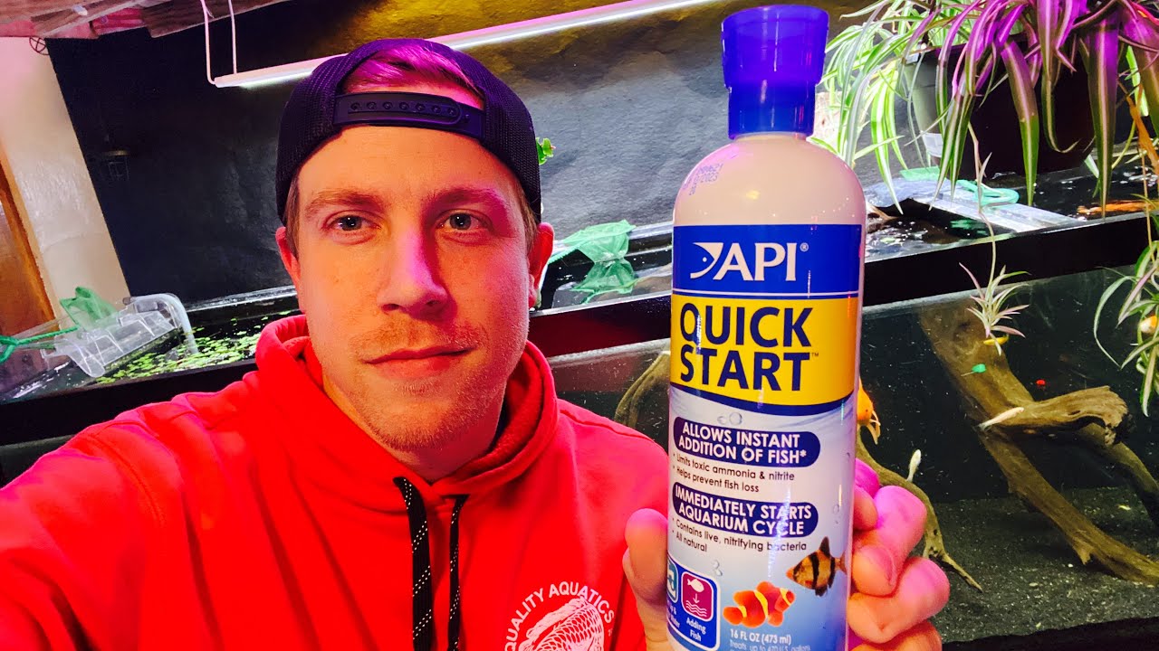 Как использовать API Quick Start для Fishless Cycle