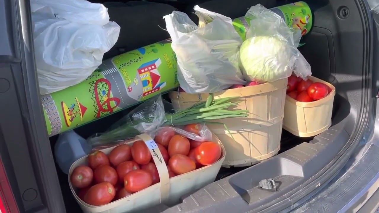 Outdoor market day in Rural Canada