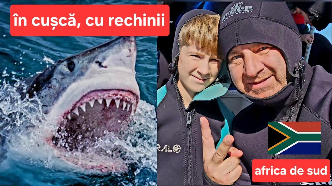 În cușcă cu rechinii! Incredibil ce cazări poți să găsești în Africa de Sud! 